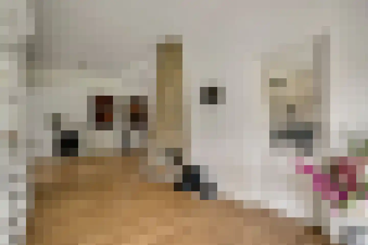 Tangweg 28 Baarlo thumbnail 19