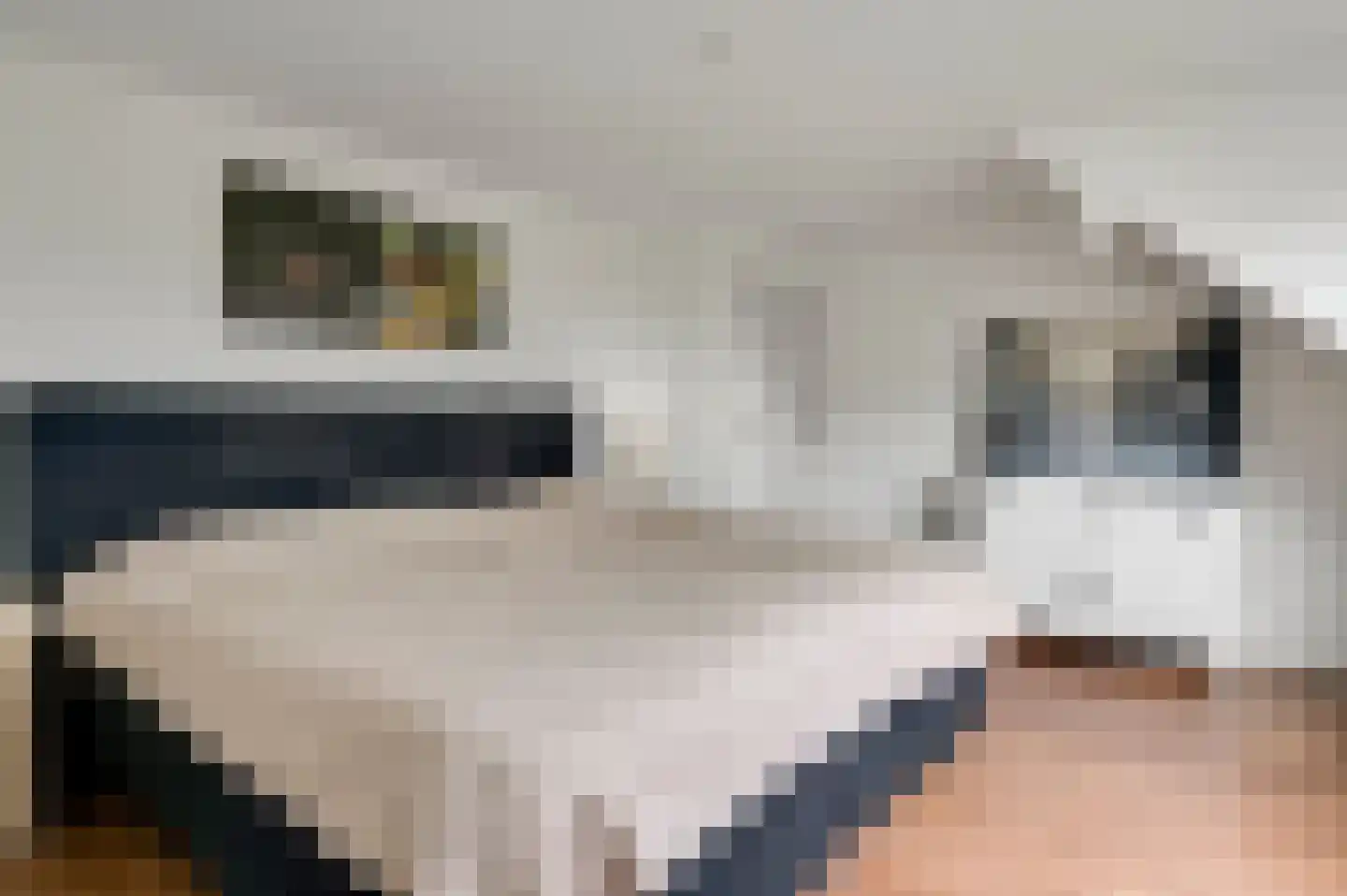 Tangweg 28 Baarlo thumbnail 30