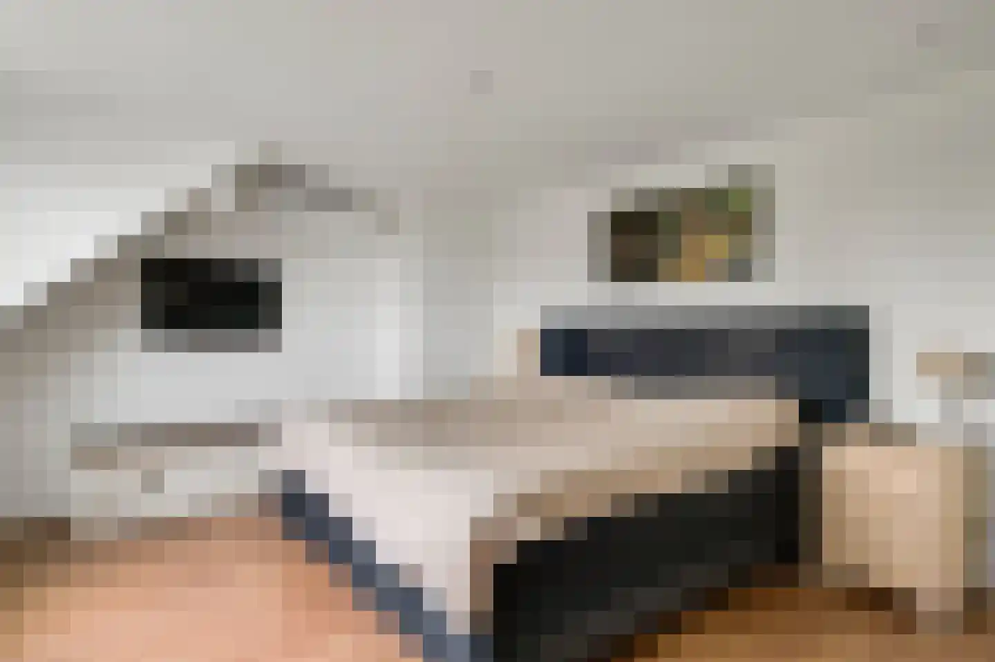 Tangweg 28 Baarlo thumbnail 31