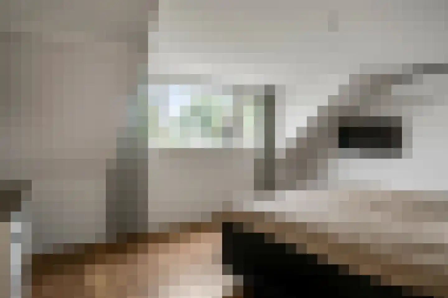 Tangweg 28 Baarlo thumbnail 32