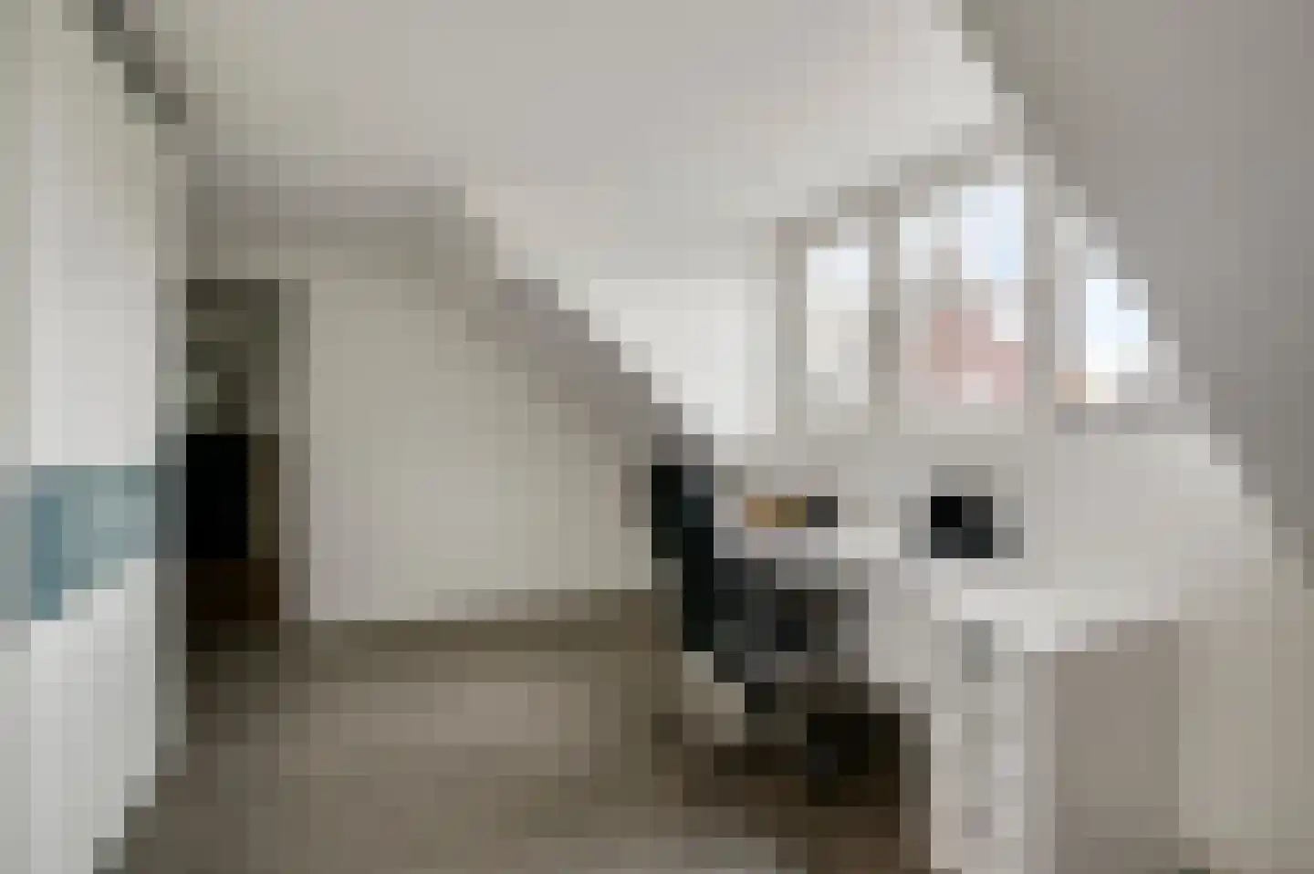 Tangweg 28 Baarlo thumbnail 33
