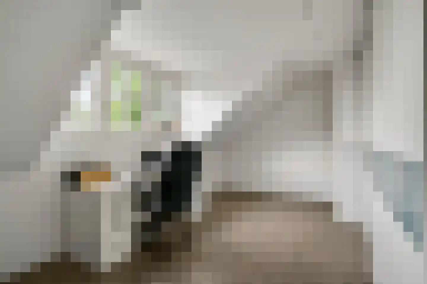 Tangweg 28 Baarlo thumbnail 34