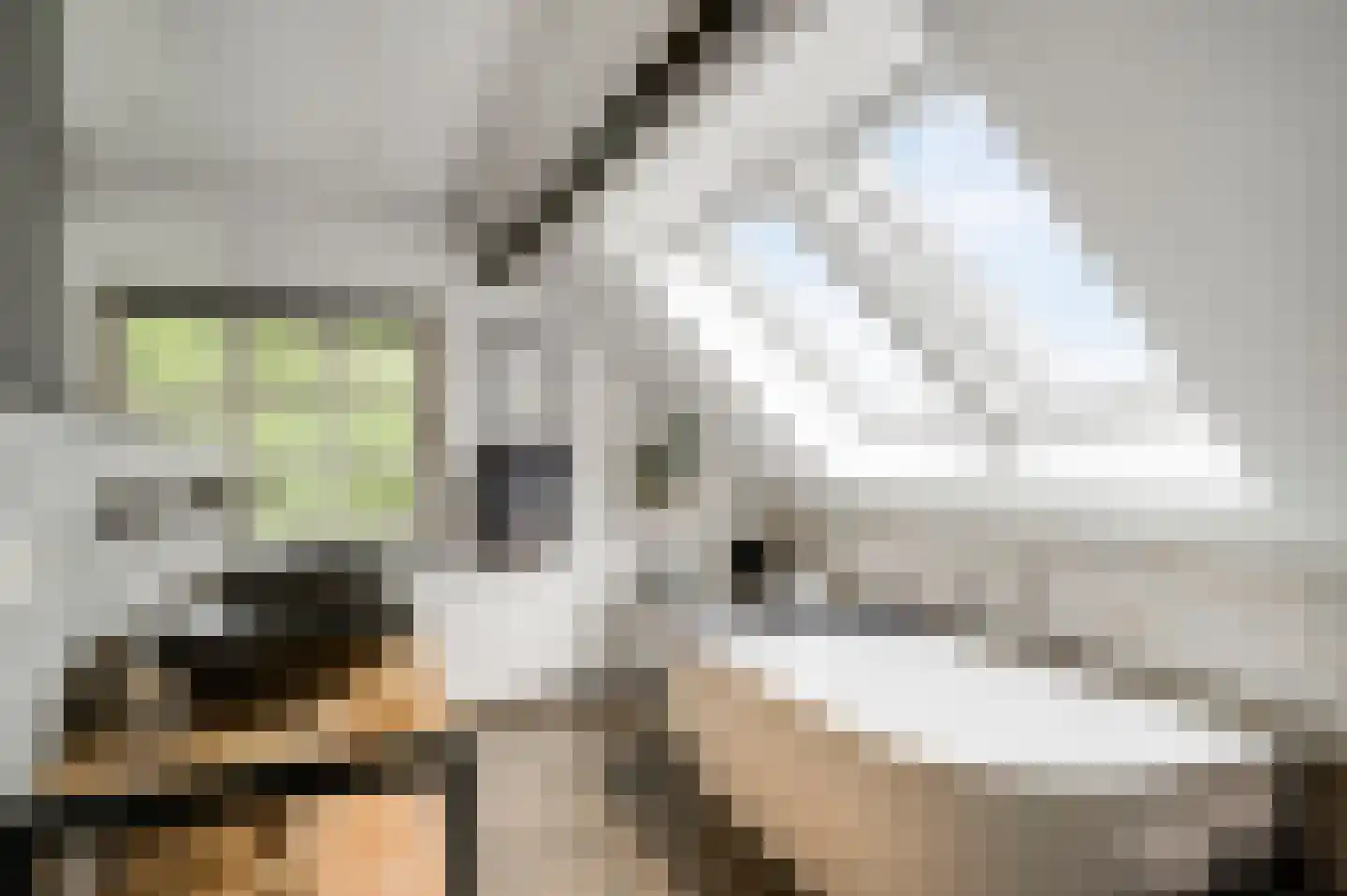 Tangweg 28 Baarlo thumbnail 35