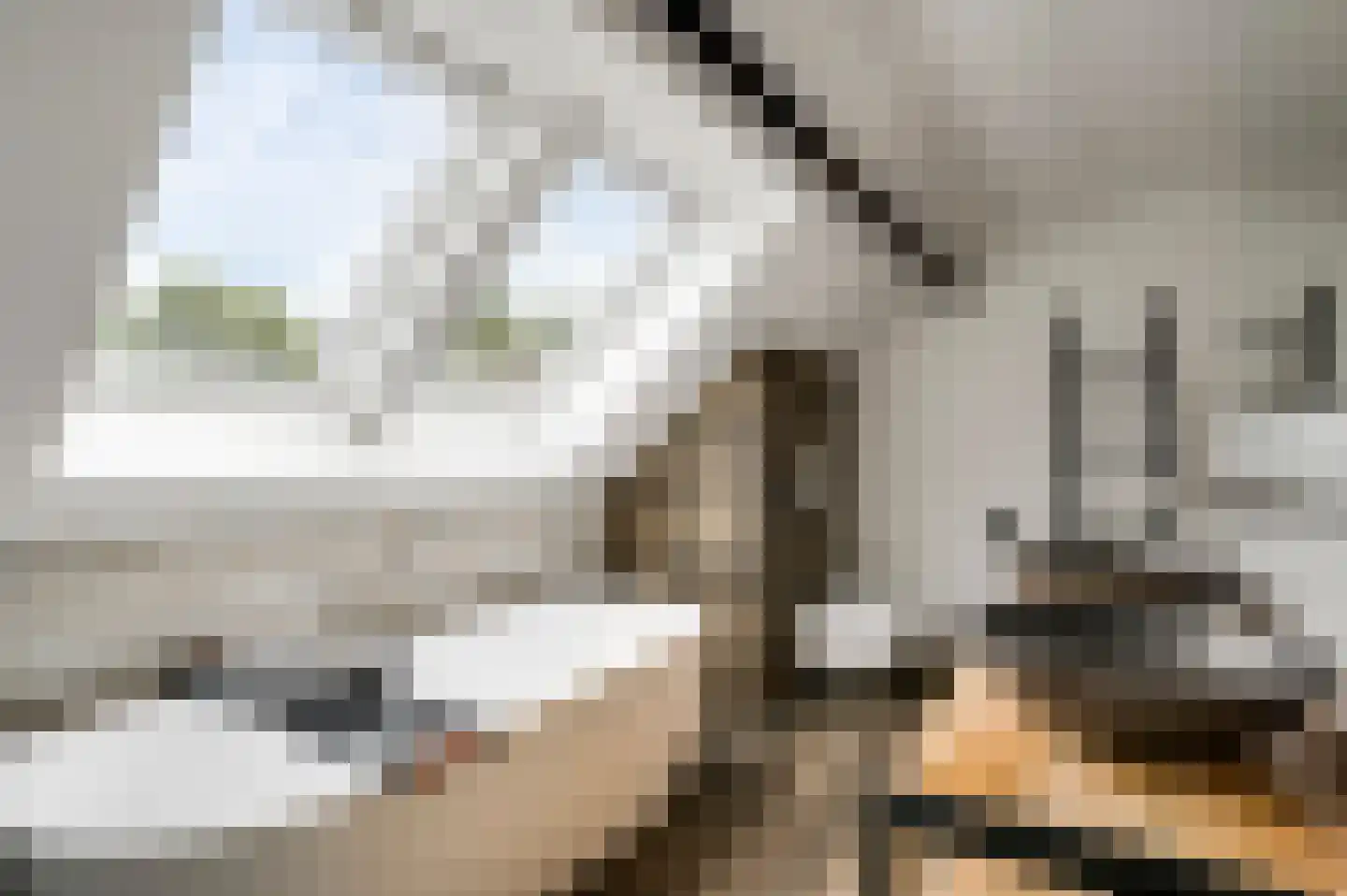 Tangweg 28 Baarlo thumbnail 36