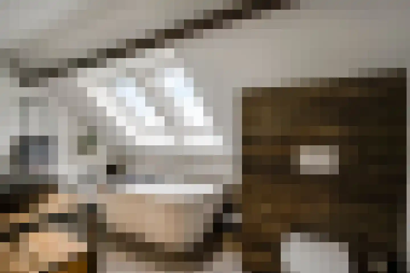Tangweg 28 Baarlo thumbnail 37