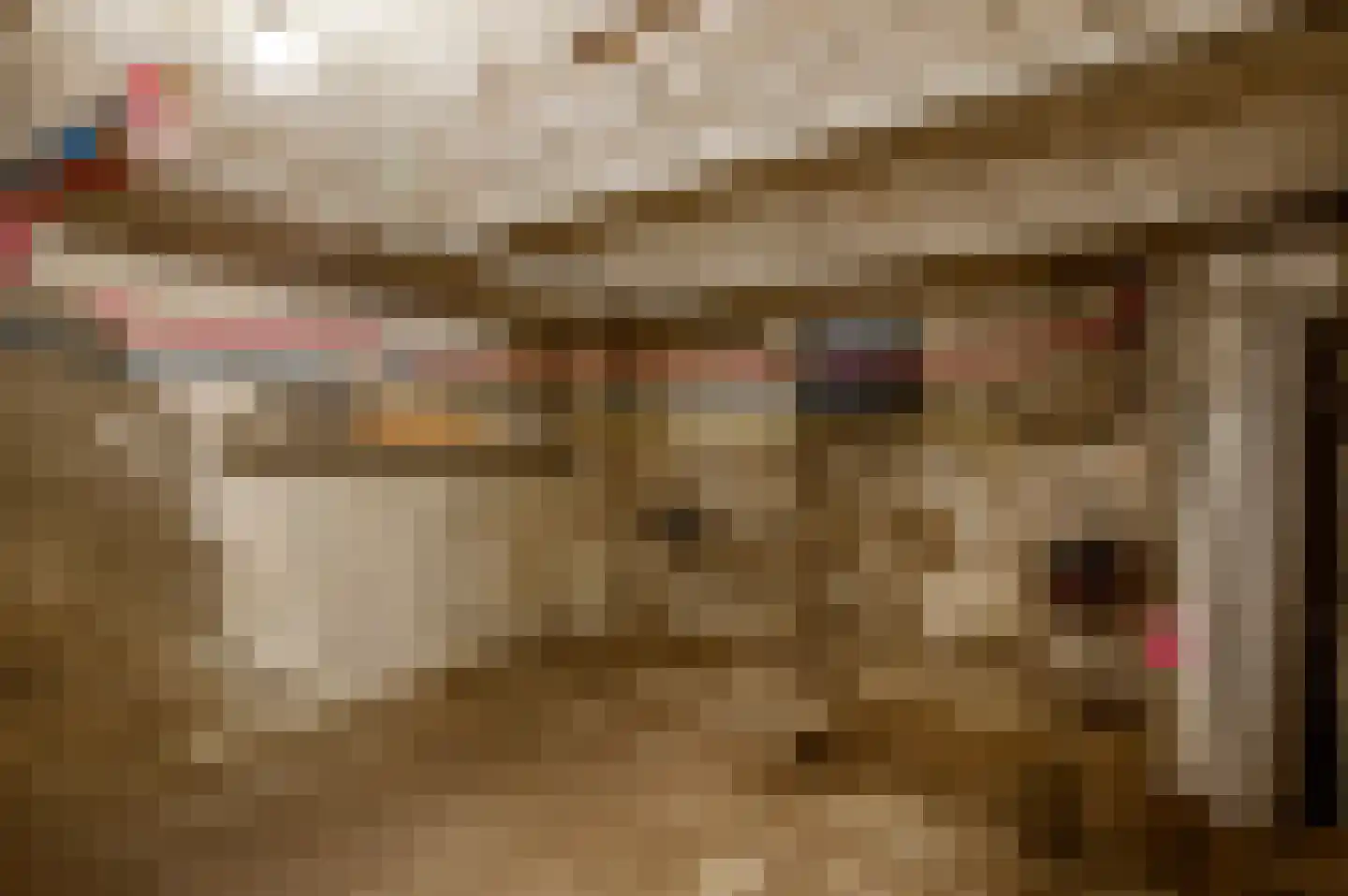 Tangweg 28 Baarlo thumbnail 46