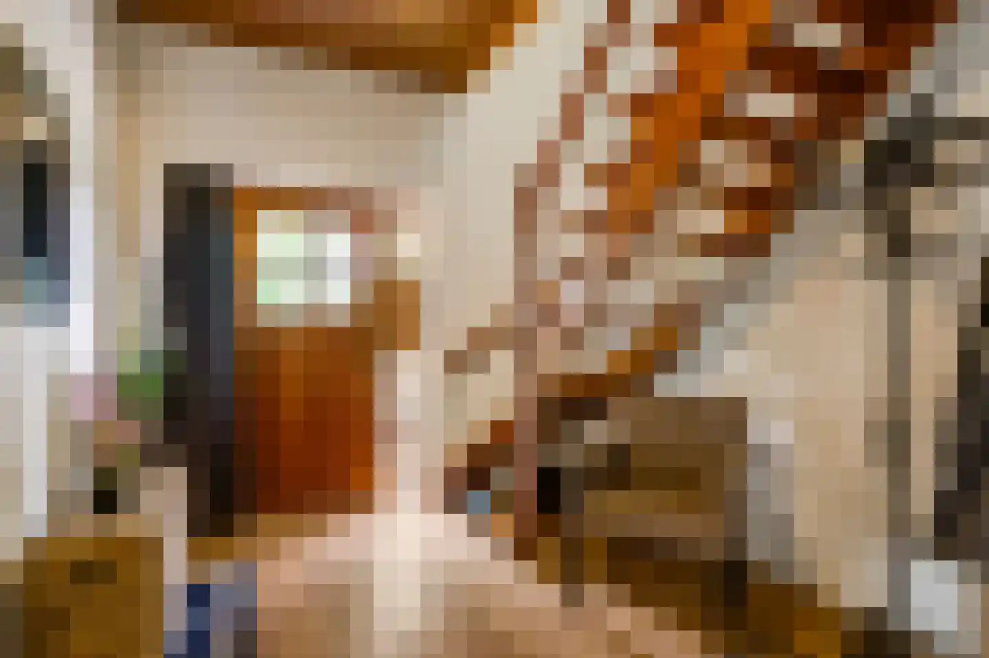 Tangweg 28 Baarlo thumbnail 6