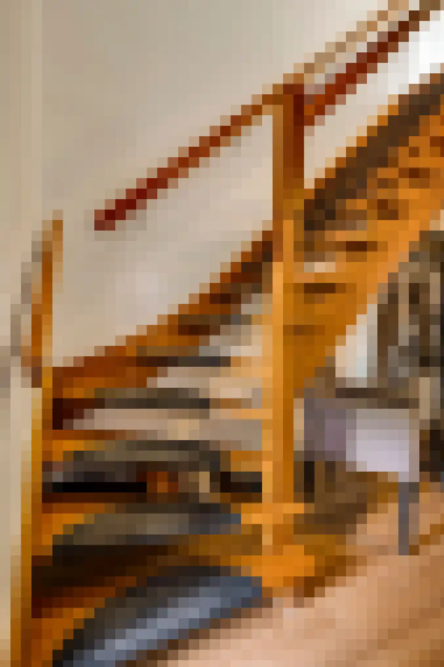 Tangweg 28 Baarlo thumbnail 7