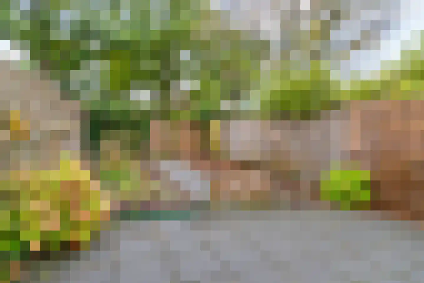 Taniaburg 10 Leeuwarden thumbnail 13