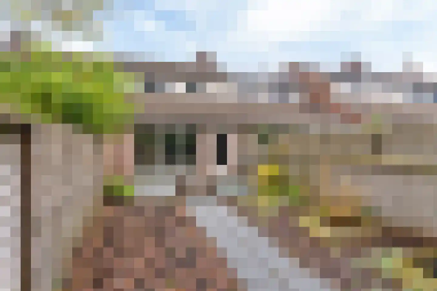 Taniaburg 10 Leeuwarden thumbnail 15