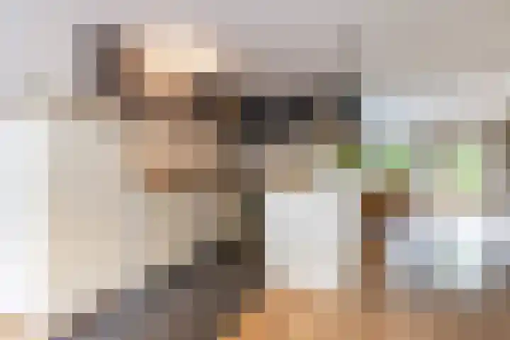 Taniaburg 19 Leeuwarden thumbnail 21