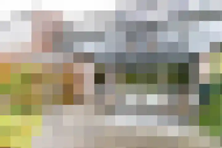Taniaburg 19 Leeuwarden thumbnail 32
