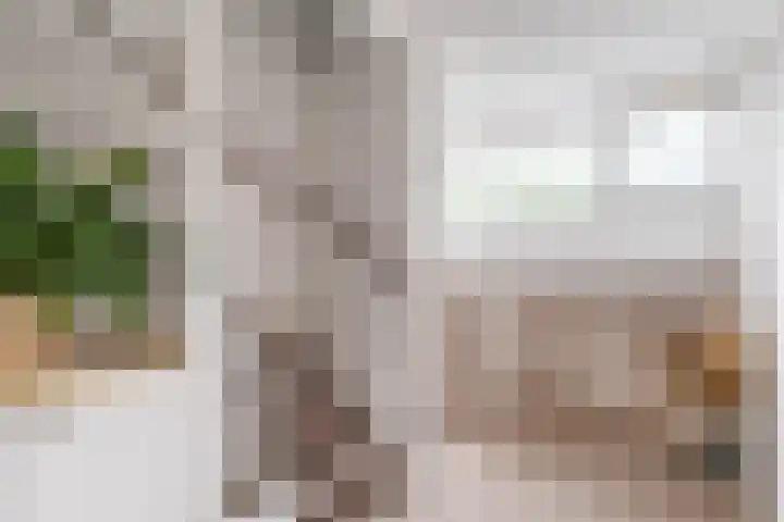 Taniaburg 19 Leeuwarden thumbnail 33