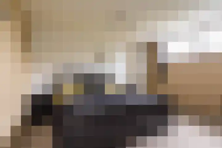 Taniaburg 19 Leeuwarden thumbnail 36