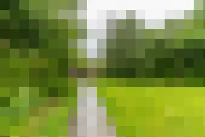 Taniaburg 19 Leeuwarden thumbnail 47