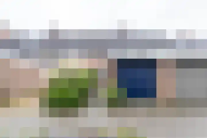 Taniaburg 19 Leeuwarden thumbnail 6