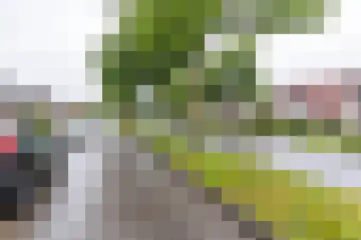 Taniaburg 19 Leeuwarden thumbnail 7