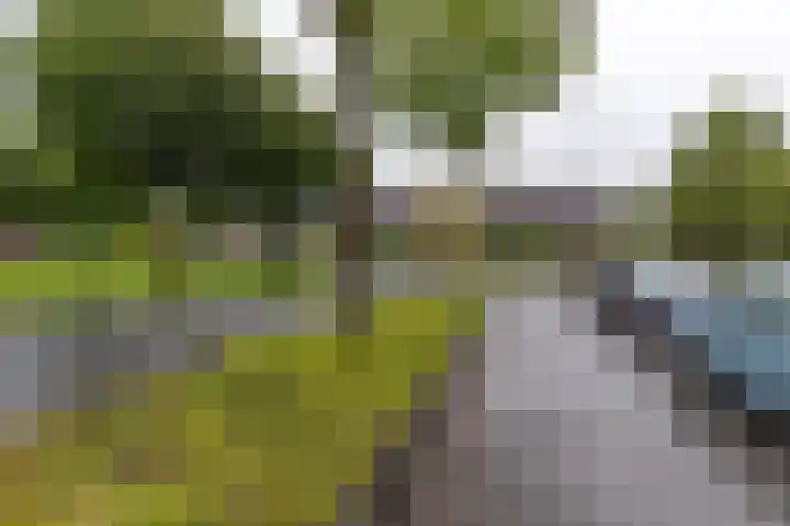 Taniaburg 19 Leeuwarden thumbnail 8