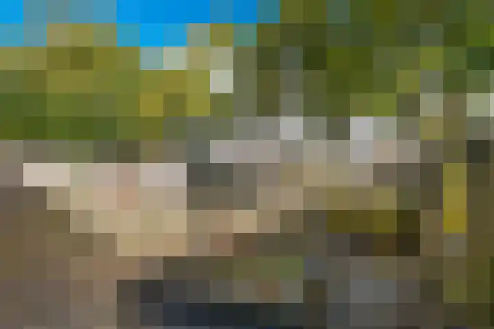 Taniaburg 34 Leeuwarden thumbnail 12