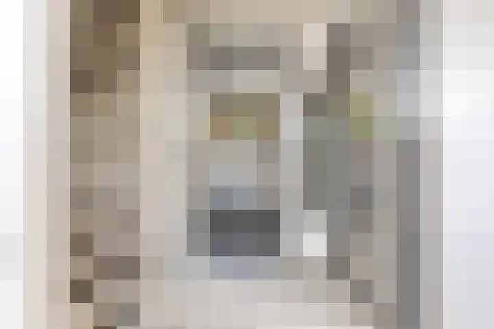 Taniaburg 34 Leeuwarden thumbnail 17