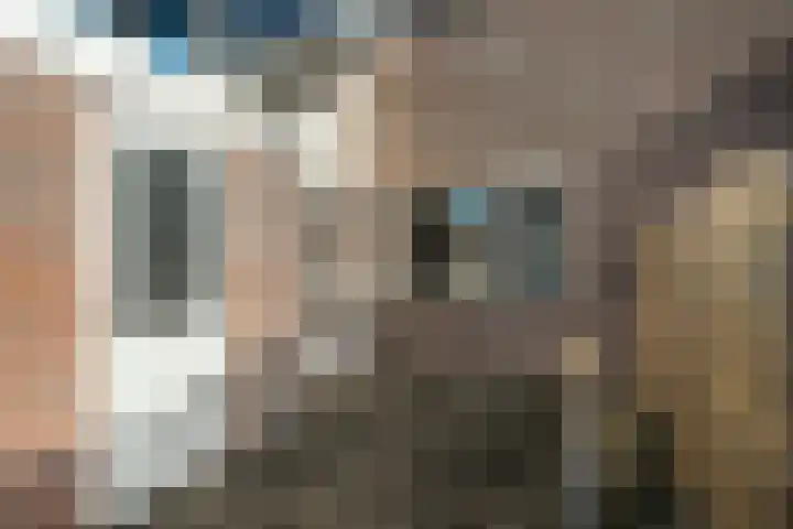 Taniaburg 34 Leeuwarden thumbnail 33