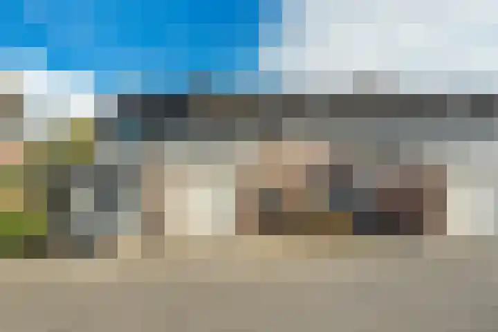 Taniaburg 34 Leeuwarden thumbnail 36