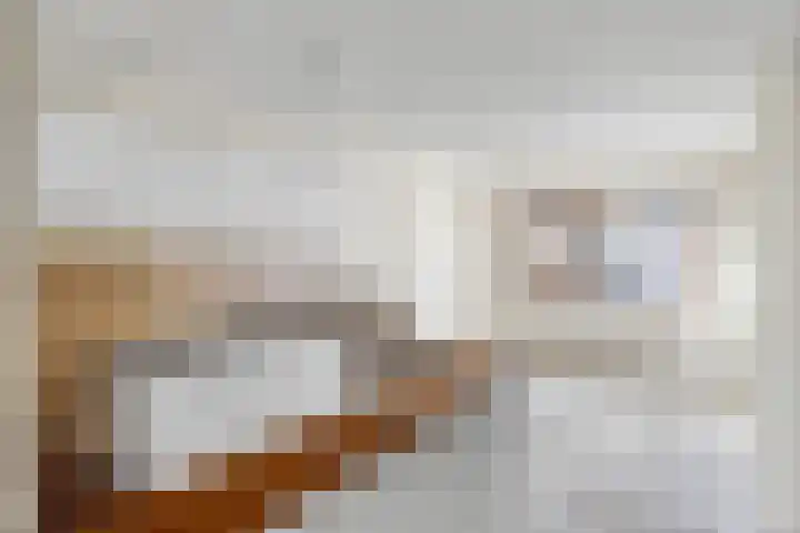 Taniaburg 34 Leeuwarden thumbnail 7