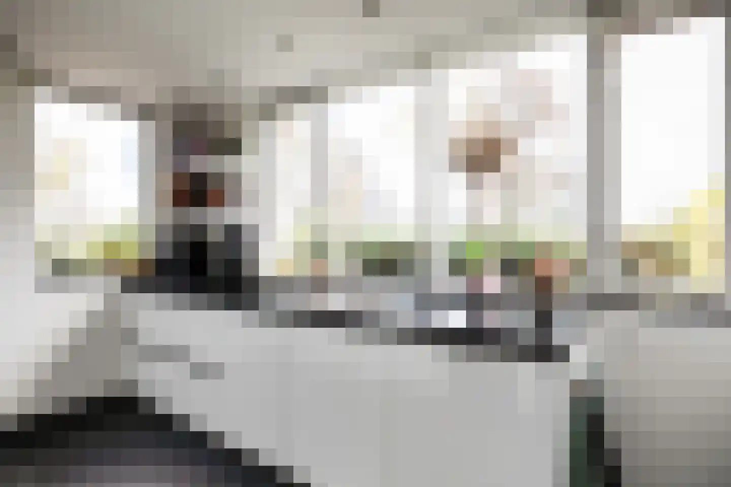 Taniaburg 36 Hoofddorp thumbnail 18