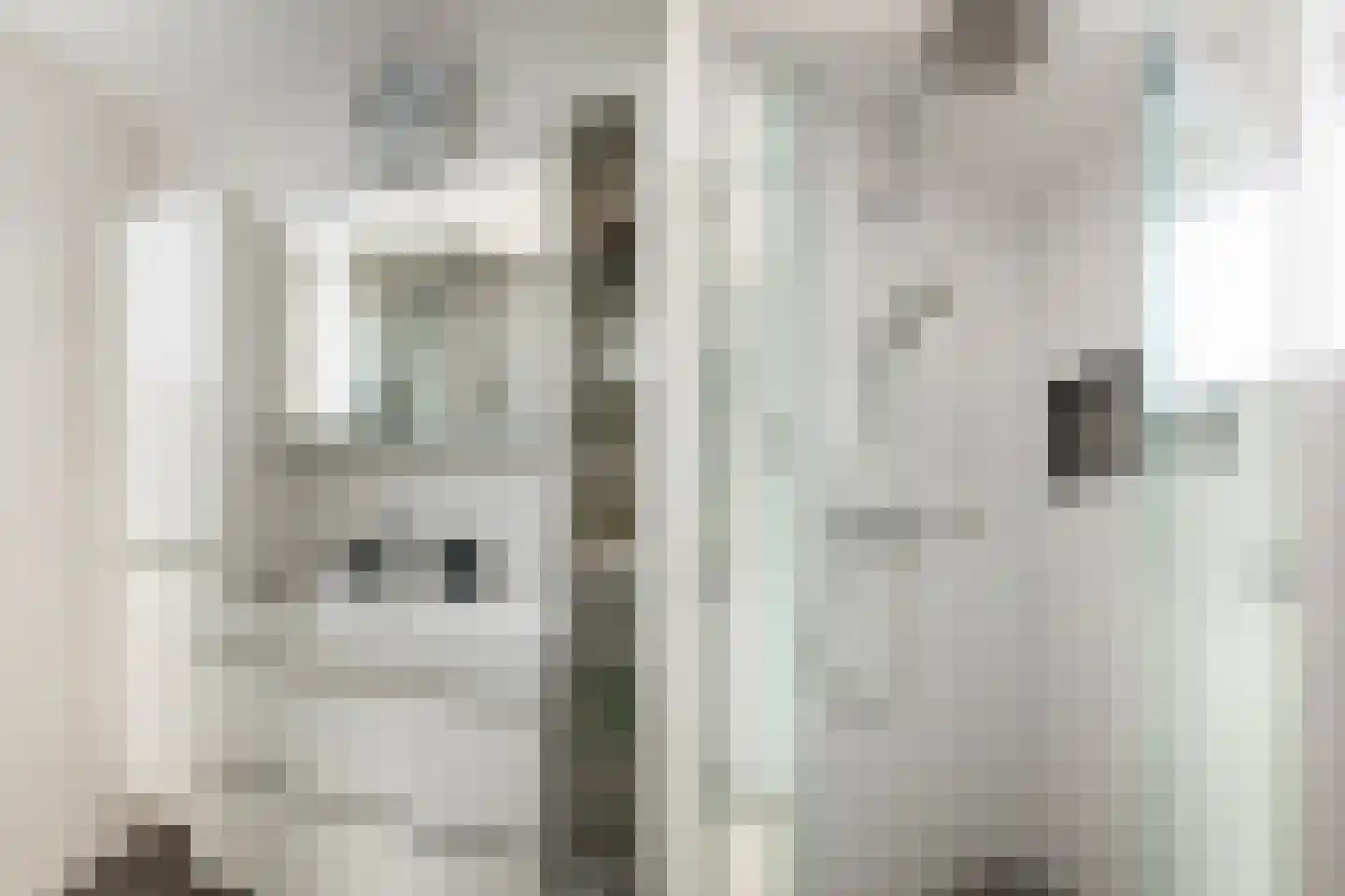 Taniaburg 36 Hoofddorp thumbnail 25