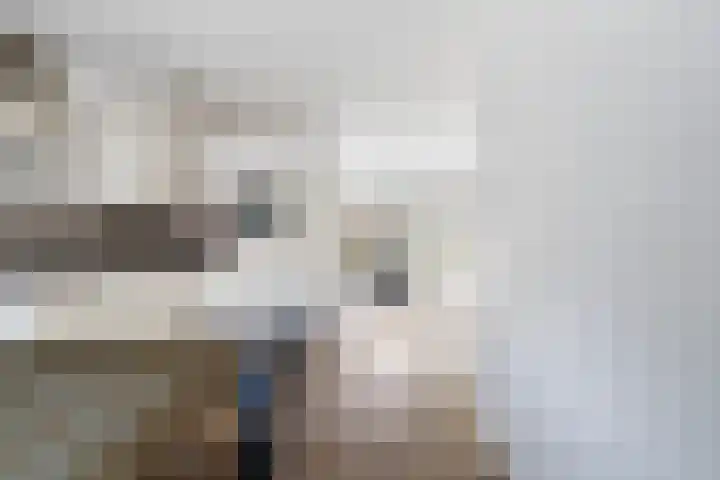 Taniaburg 54 Leeuwarden thumbnail 17