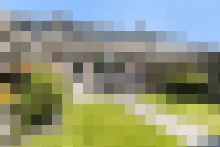 Taniaburg 54 Leeuwarden thumbnail 27