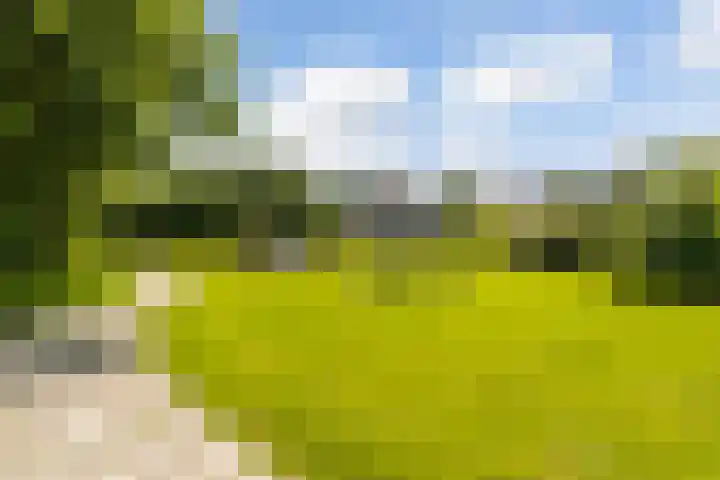 Taniaburg 54 Leeuwarden thumbnail 41