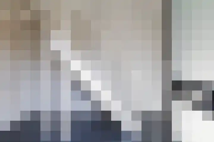 Taniaburg 54 Leeuwarden thumbnail 9