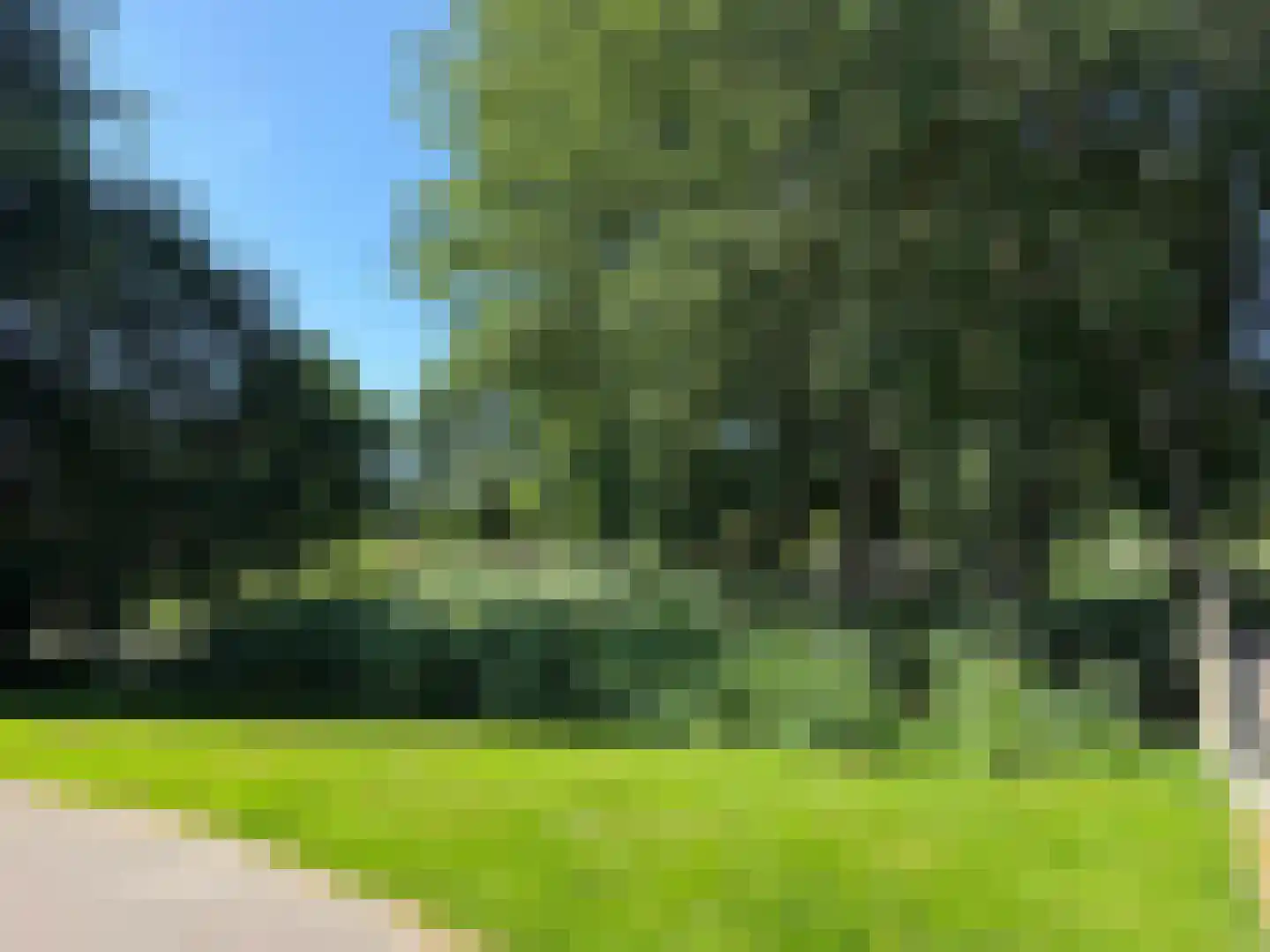 Taniaburg 82 Leeuwarden thumbnail 13