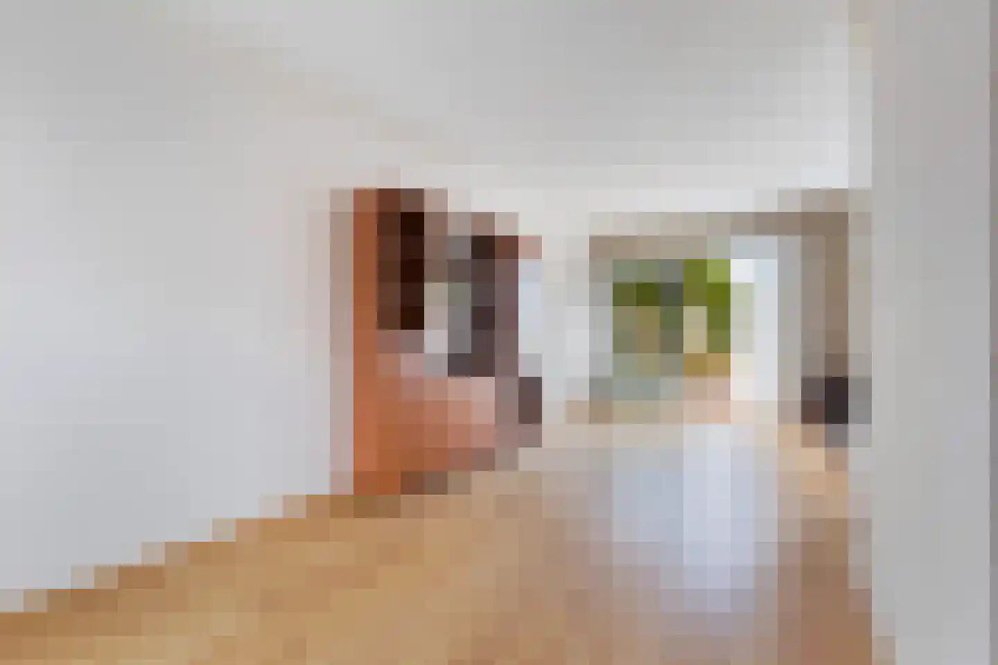 Taniaburg 82 Leeuwarden thumbnail 19