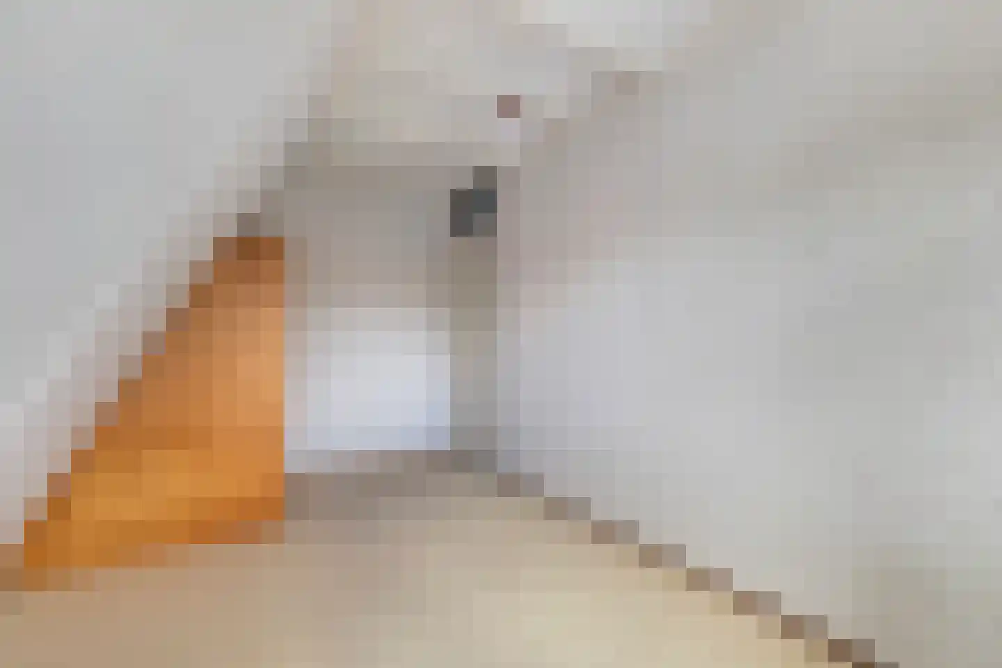 Taniaburg 82 Leeuwarden thumbnail 30