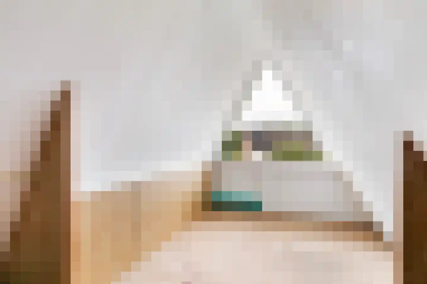 Taniaburg 82 Leeuwarden thumbnail 35