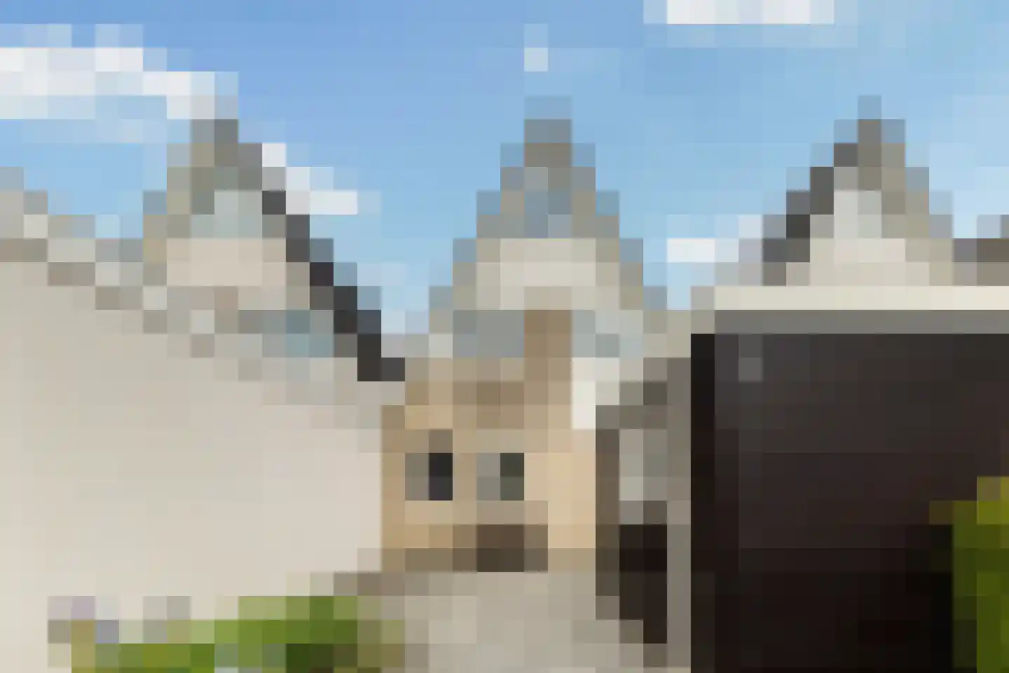 Taniaburg 82 Leeuwarden thumbnail 6