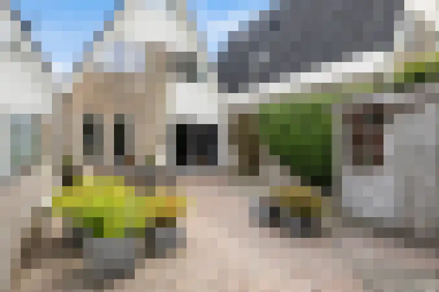 Taniaburg 84 Leeuwarden thumbnail 10