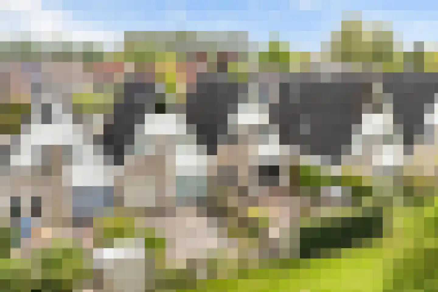 Taniaburg 84 Leeuwarden thumbnail 13