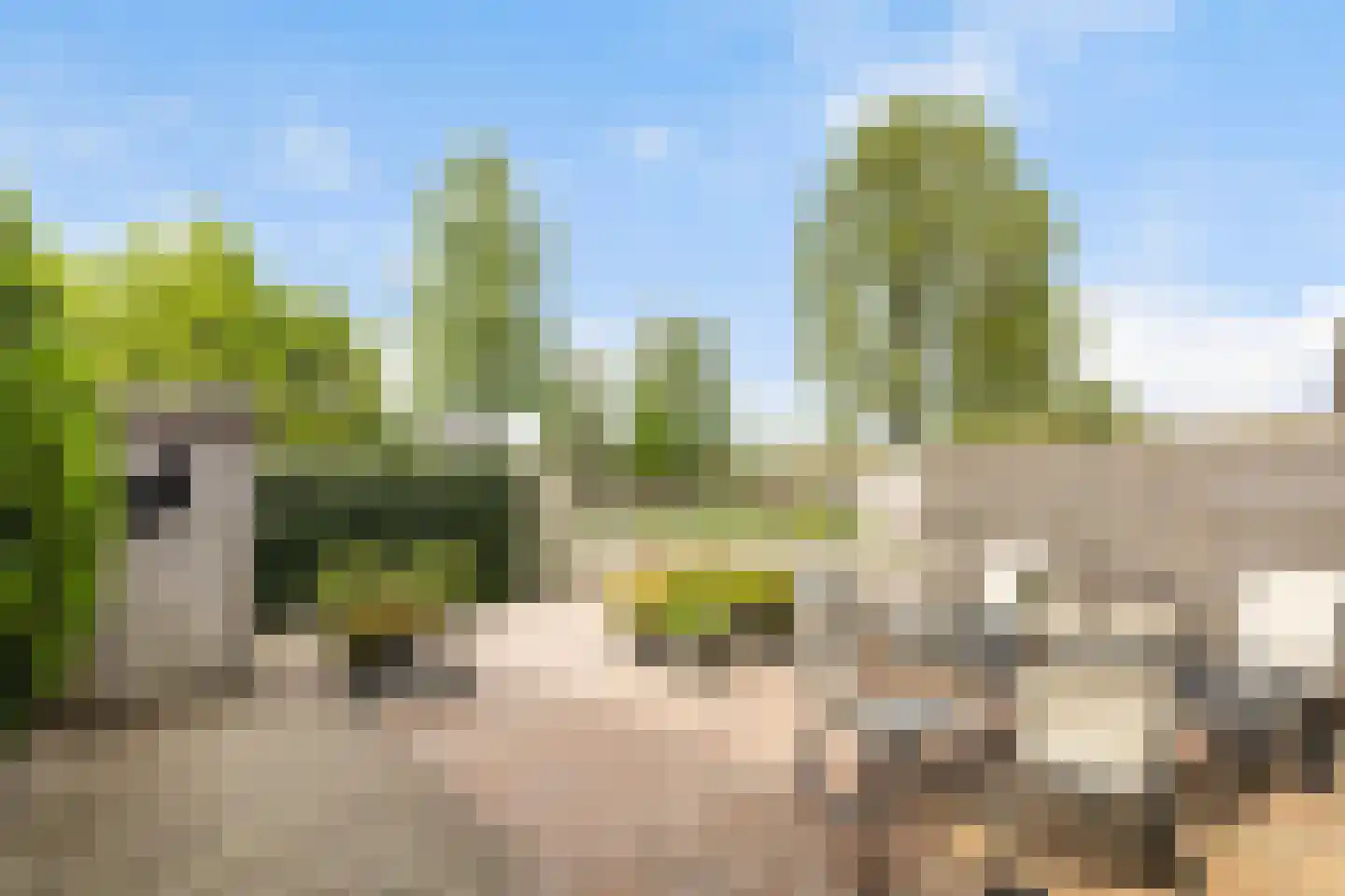 Taniaburg 84 Leeuwarden thumbnail 4