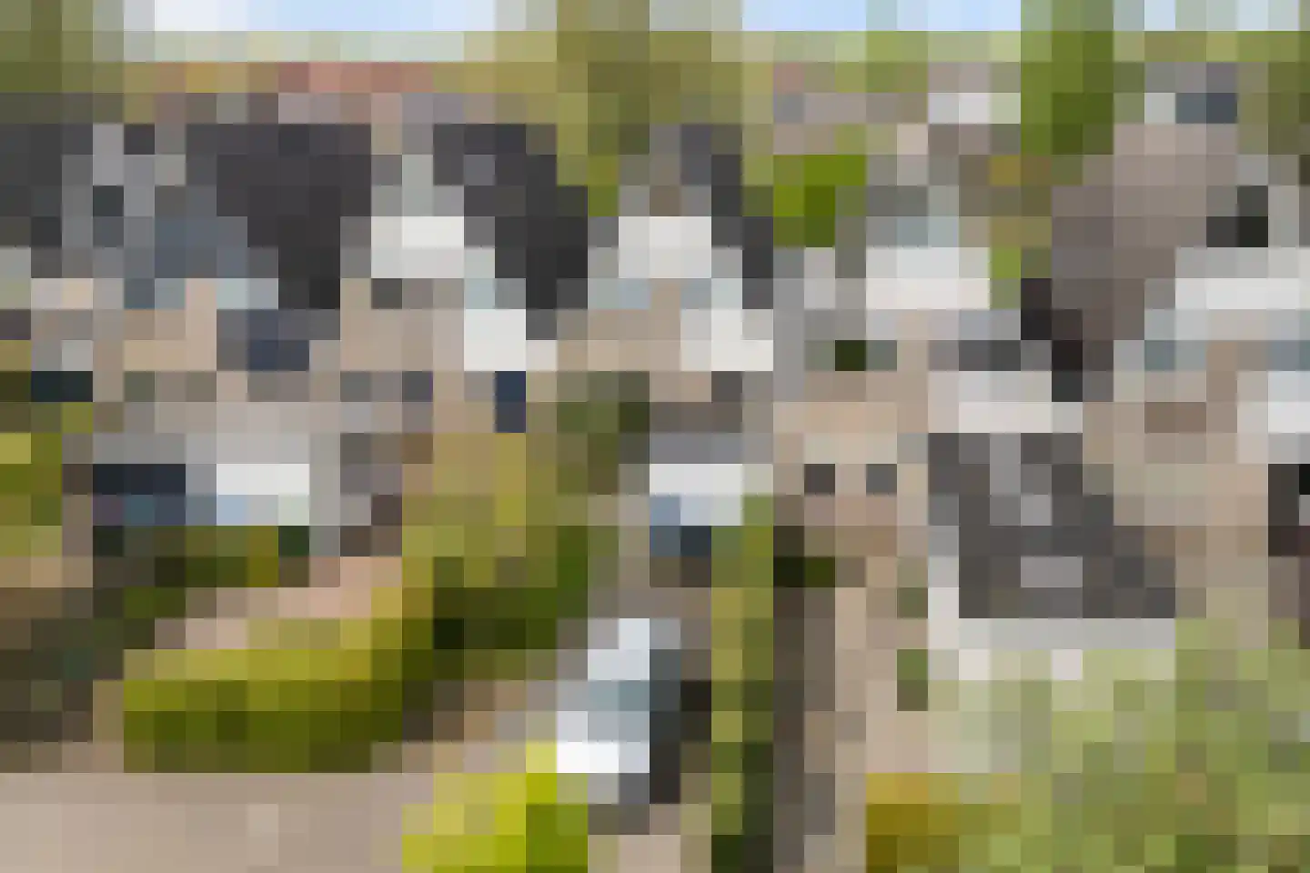 Taniaburg 84 Leeuwarden thumbnail 6