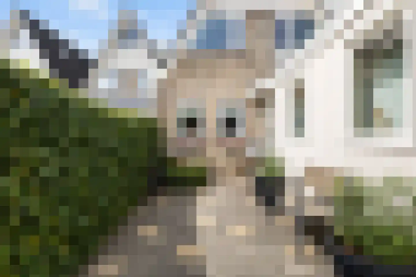 Taniaburg 84 Leeuwarden thumbnail 8