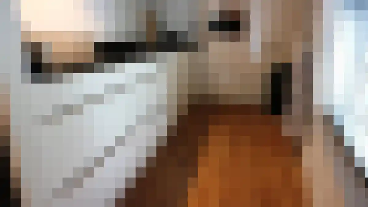 Tanimbarkade 29 Utrecht thumbnail 6