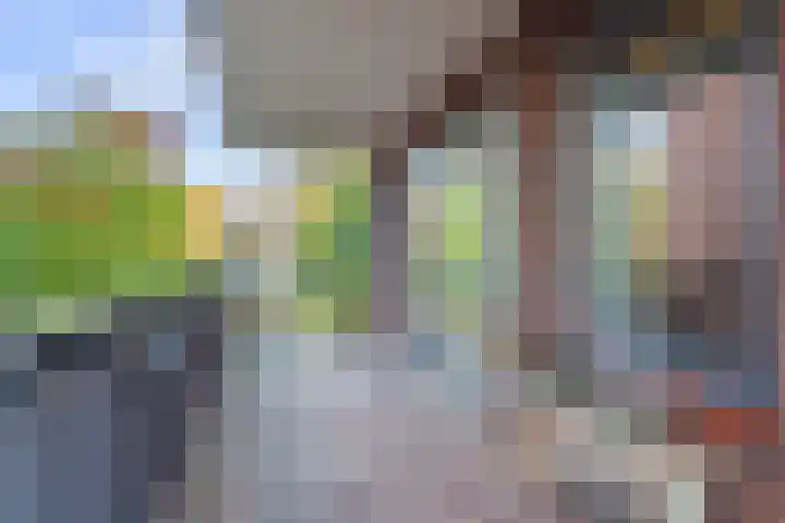 Tanimbarkade 31 Utrecht thumbnail 15