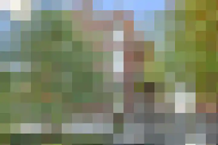 Tanimbarkade 31 Utrecht thumbnail 31