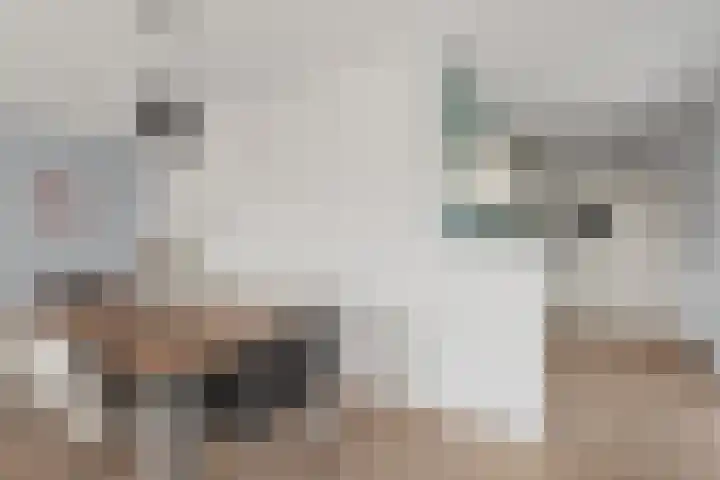 Tanimbarkade 31 Utrecht thumbnail 7