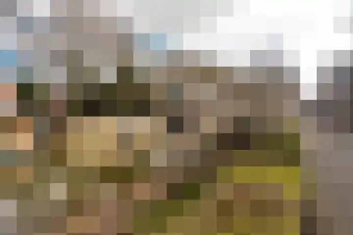Tanimbarkade 85 Utrecht thumbnail 16