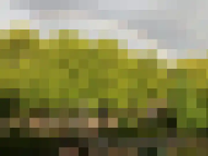 Tanimbarkade 85 Utrecht thumbnail 17
