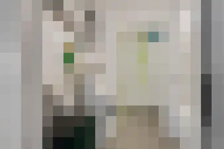 Tanimbarkade 85 Utrecht thumbnail 19